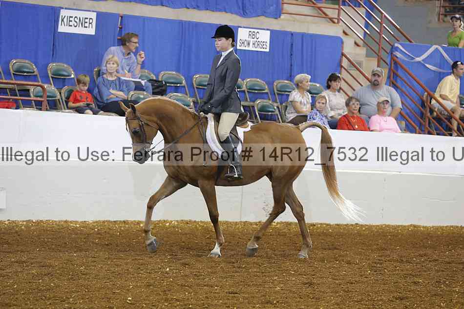 Proof Number 14r12_7532