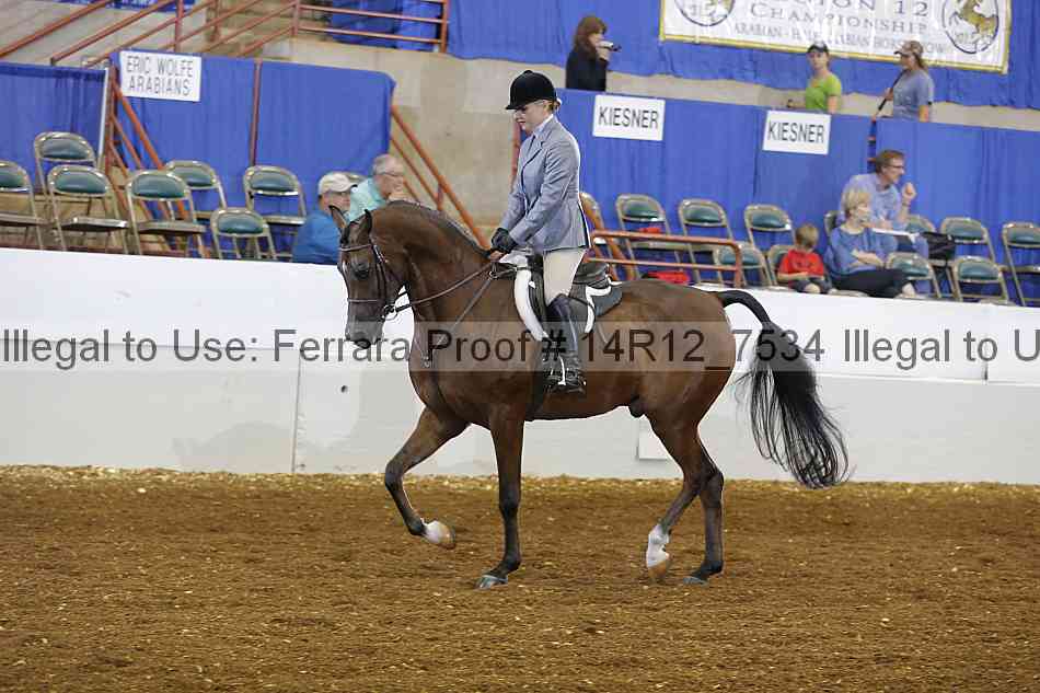 Proof Number 14r12_7534