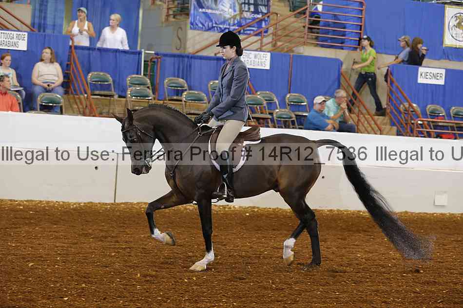 Proof Number 14r12_7536