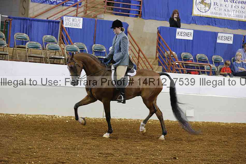Proof Number 14r12_7539