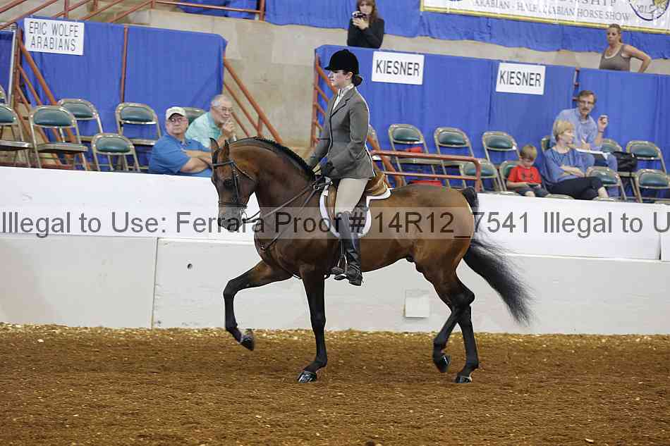 Proof Number 14r12_7541