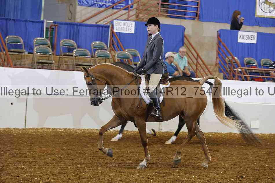 Proof Number 14r12_7547
