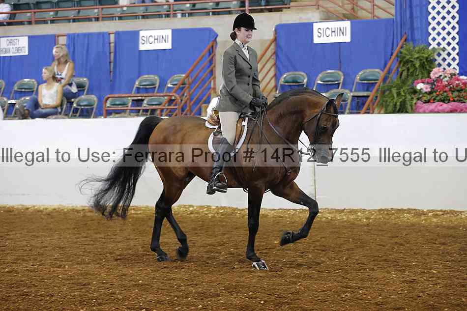 Proof Number 14r12_7555