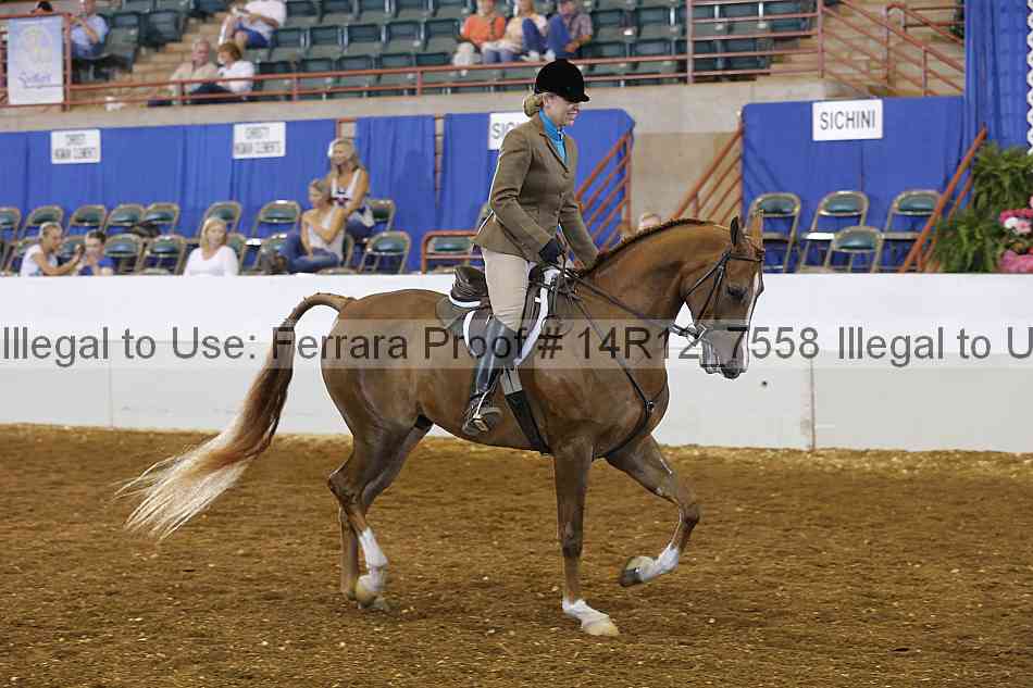 Proof Number 14r12_7558
