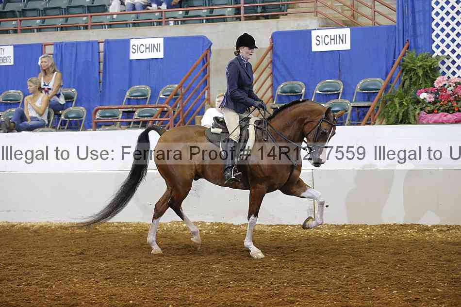 Proof Number 14r12_7559