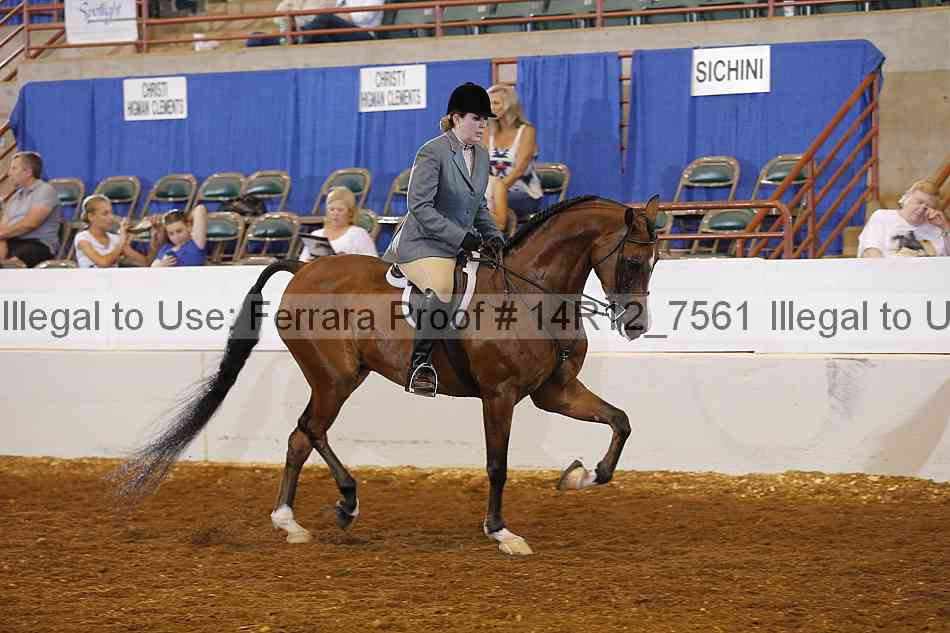 Proof Number 14r12_7561