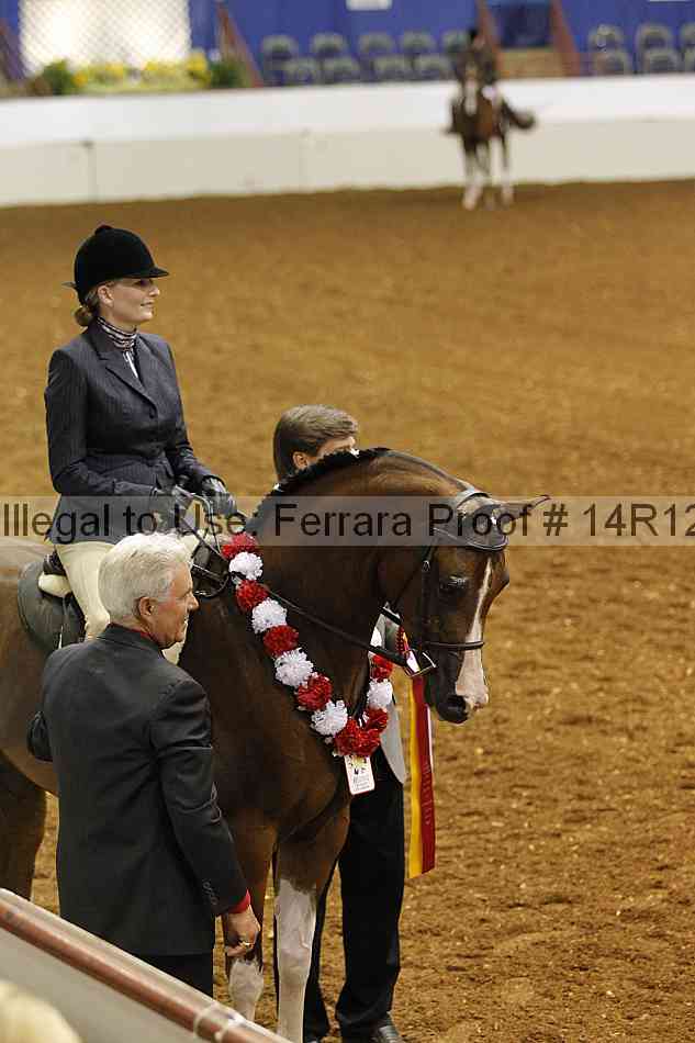Proof Number 14r12_7566