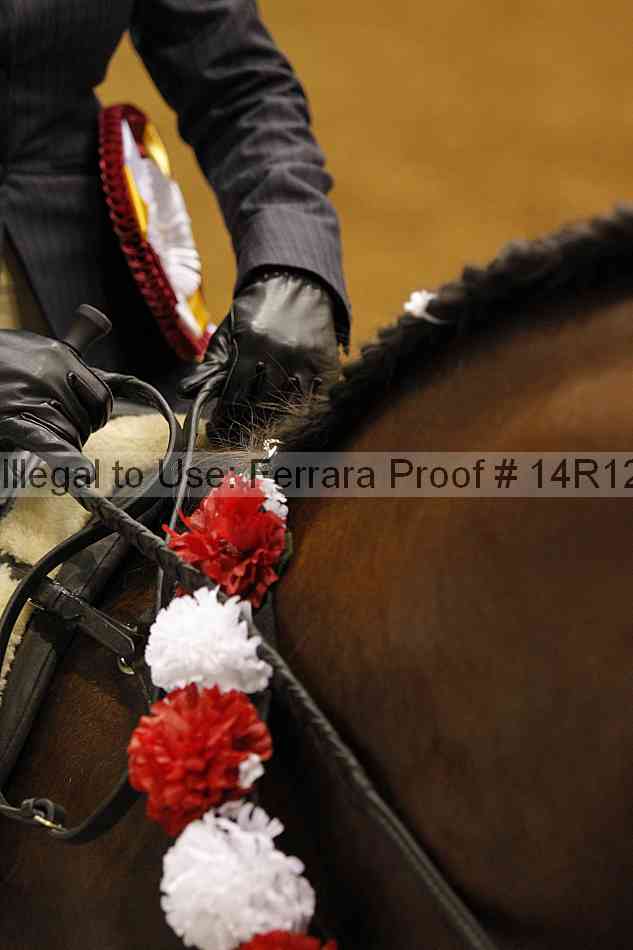 Proof Number 14r12_7568