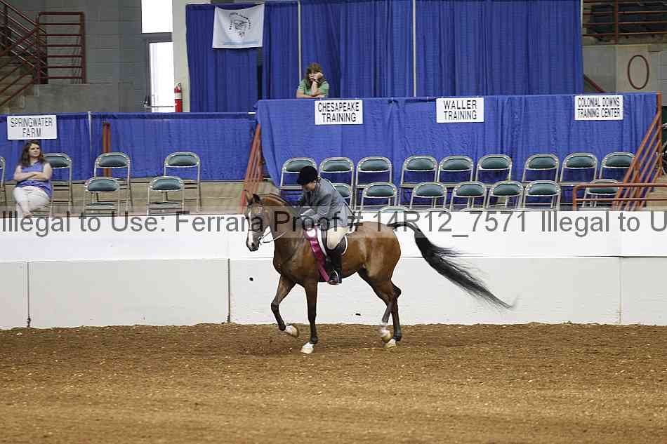 Proof Number 14r12_7571