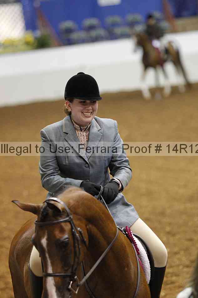 Proof Number 14r12_7573