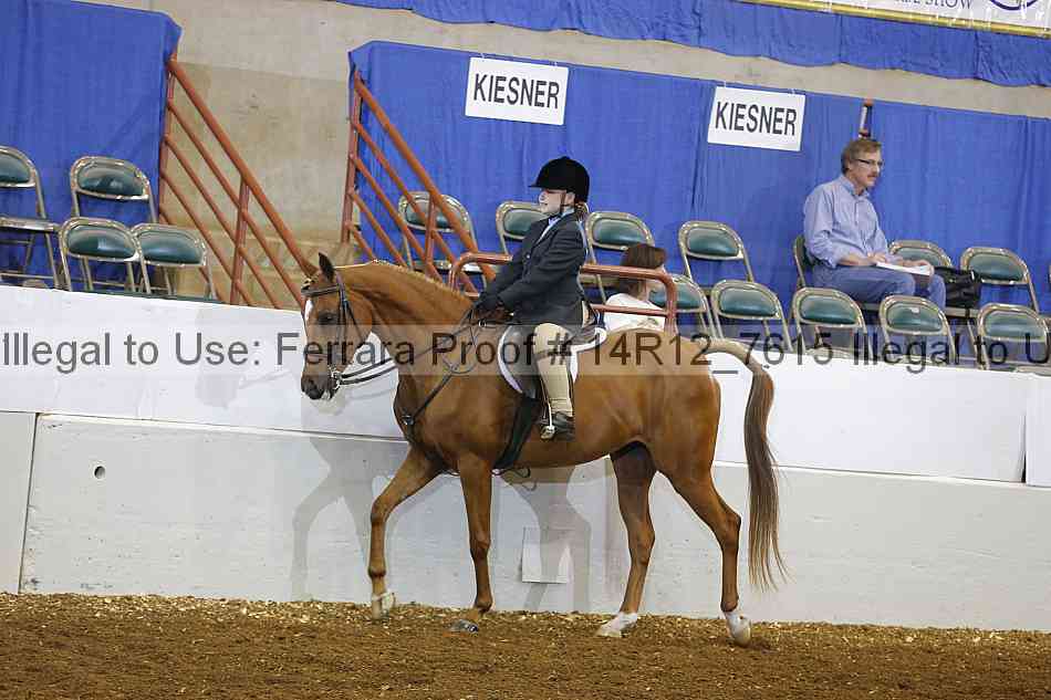 Proof Number 14r12_7615