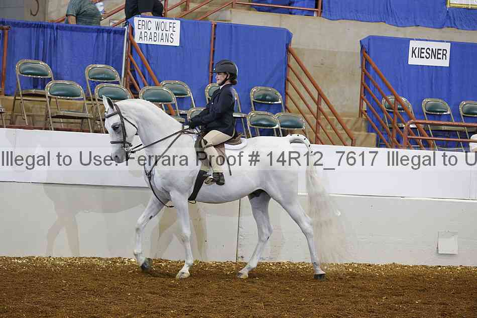 Proof Number 14r12_7617