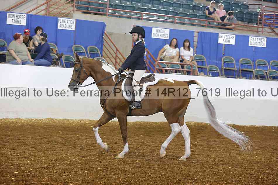 Proof Number 14r12_7619