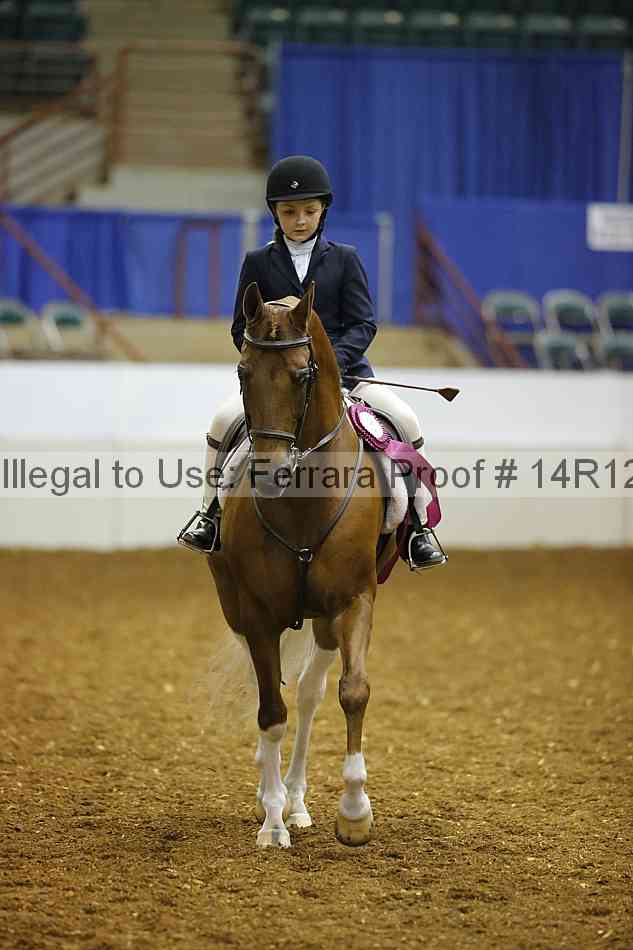 Proof Number 14r12_7648