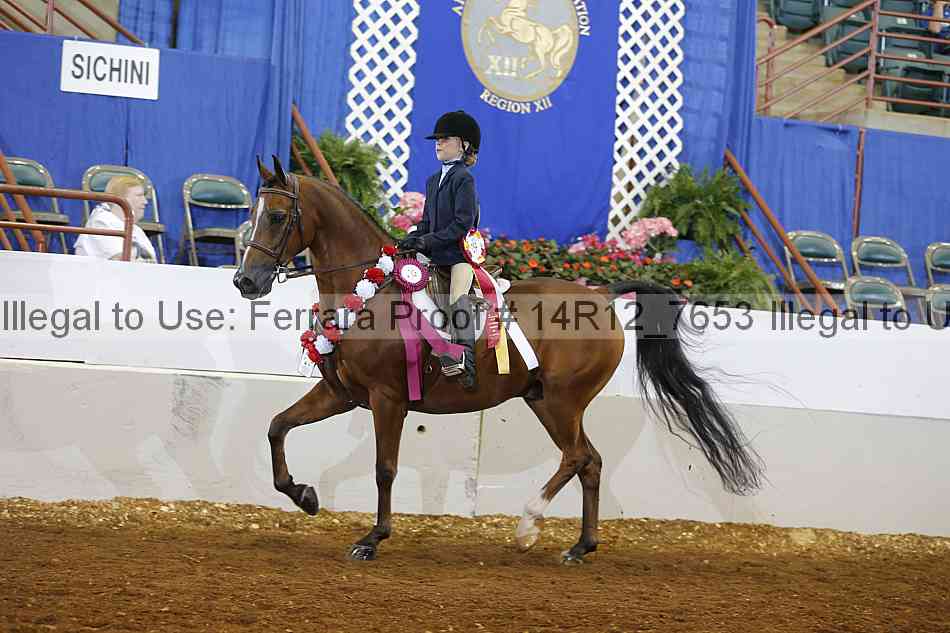 Proof Number 14r12_7653