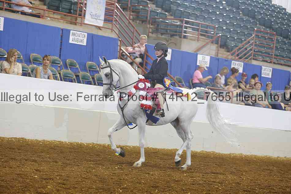 Proof Number 14r12_7655