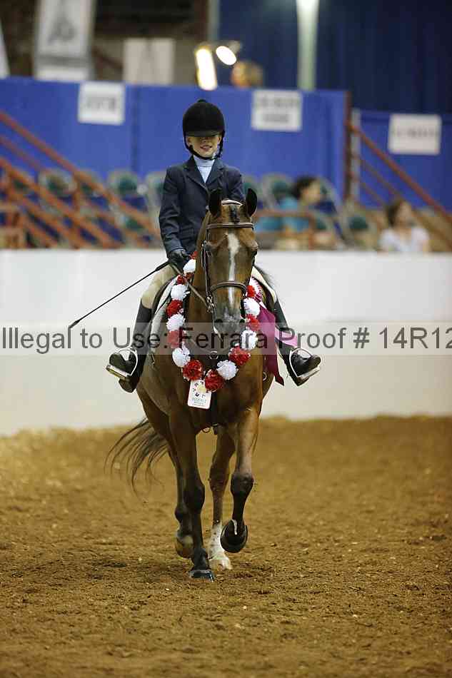 Proof Number 14r12_7656