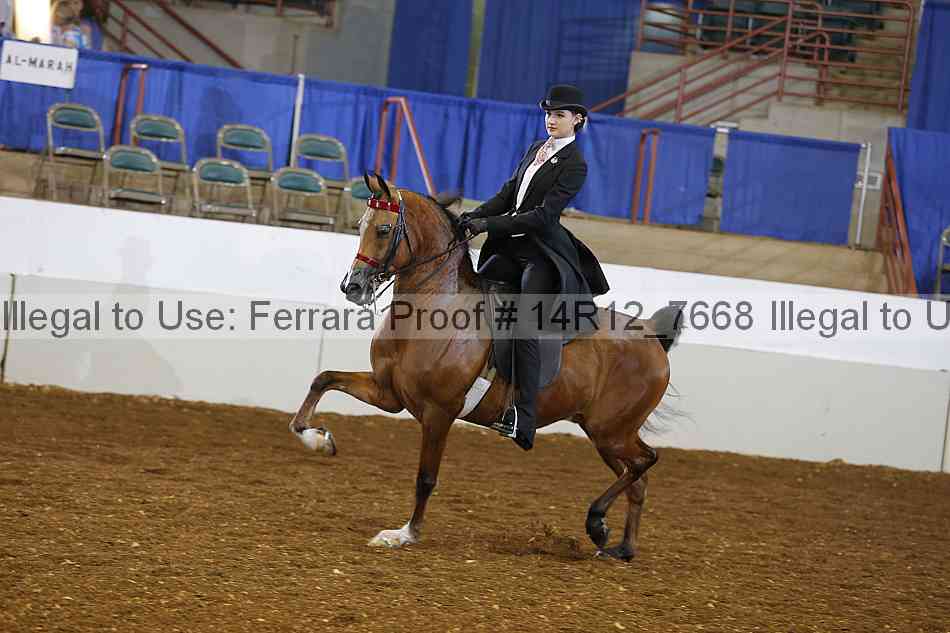 Proof Number 14r12_7668