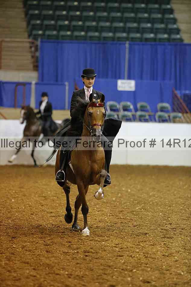 Proof Number 14r12_7676