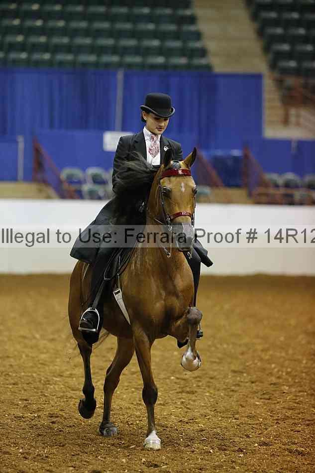 Proof Number 14r12_7677