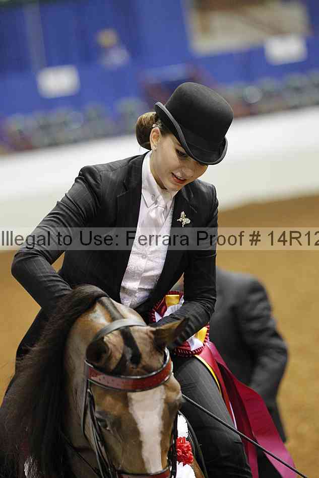 Proof Number 14r12_7691