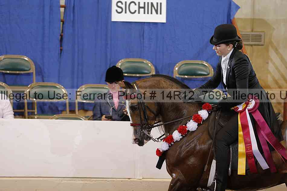 Proof Number 14r12_7695