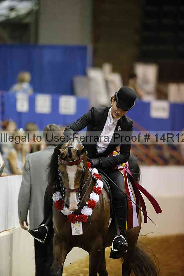 Proof Number 14r12_7696