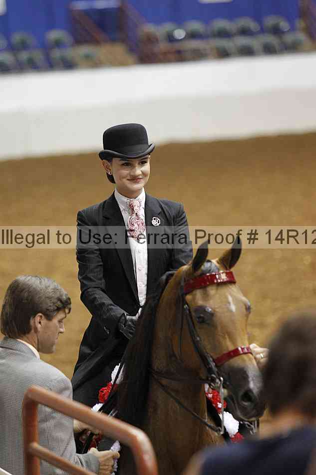 Proof Number 14r12_7698