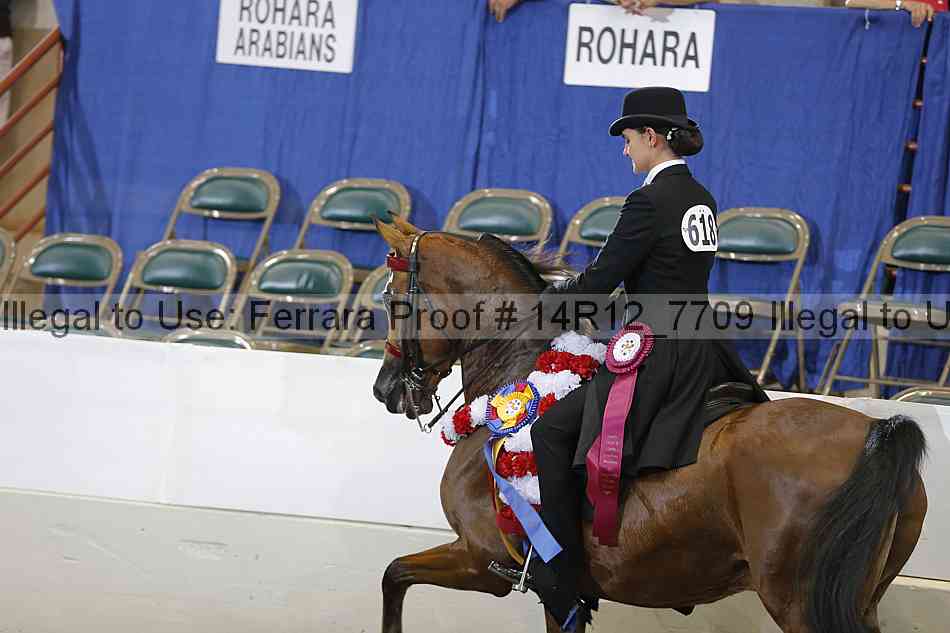 Proof Number 14r12_7709