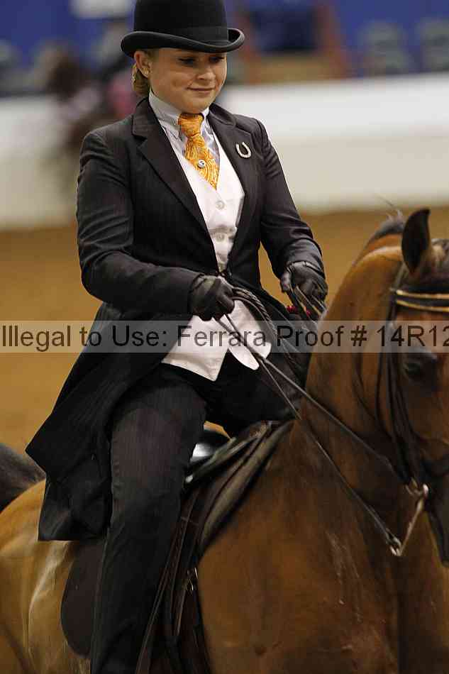 Proof Number 14r12_7710