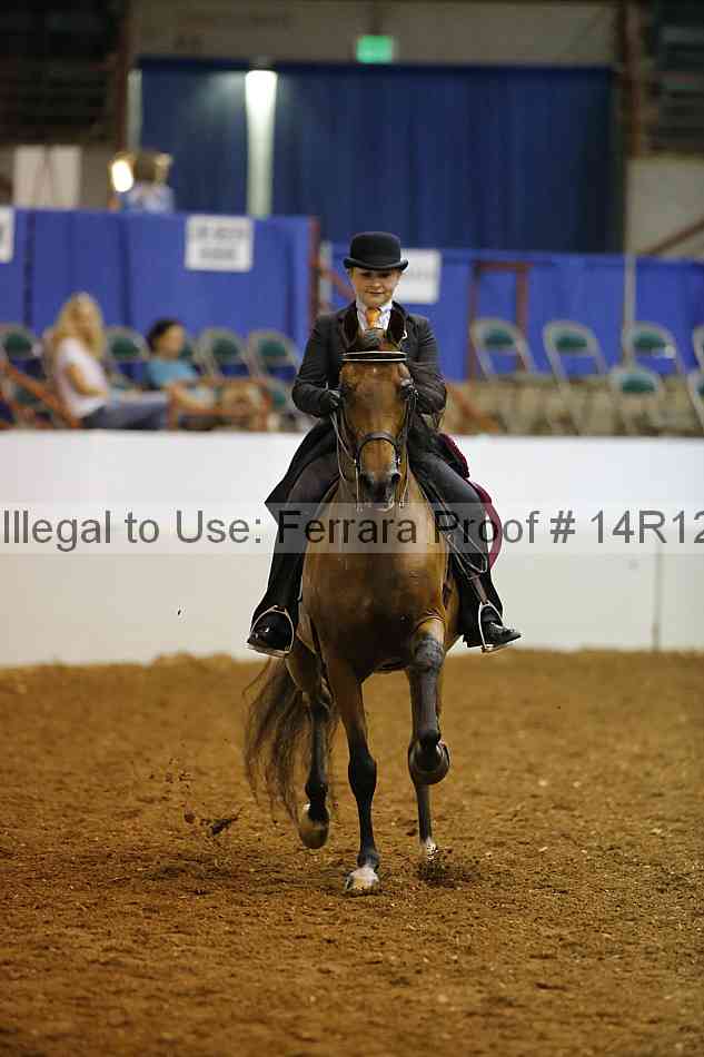 Proof Number 14r12_7713