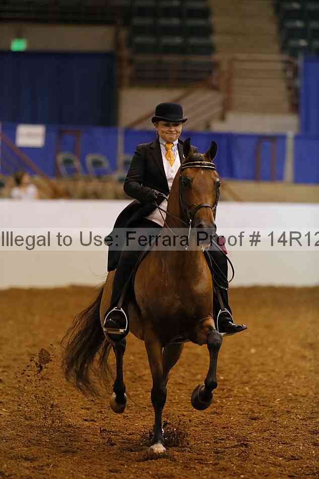 Proof Number 14r12_7714