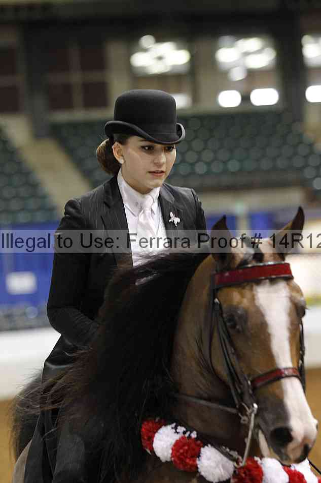 Proof Number 14r12_7715