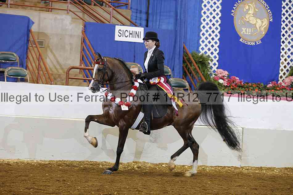 Proof Number 14r12_7717