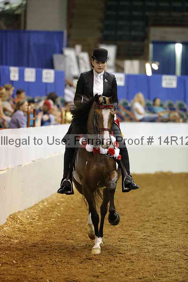 Proof Number 14r12_7720