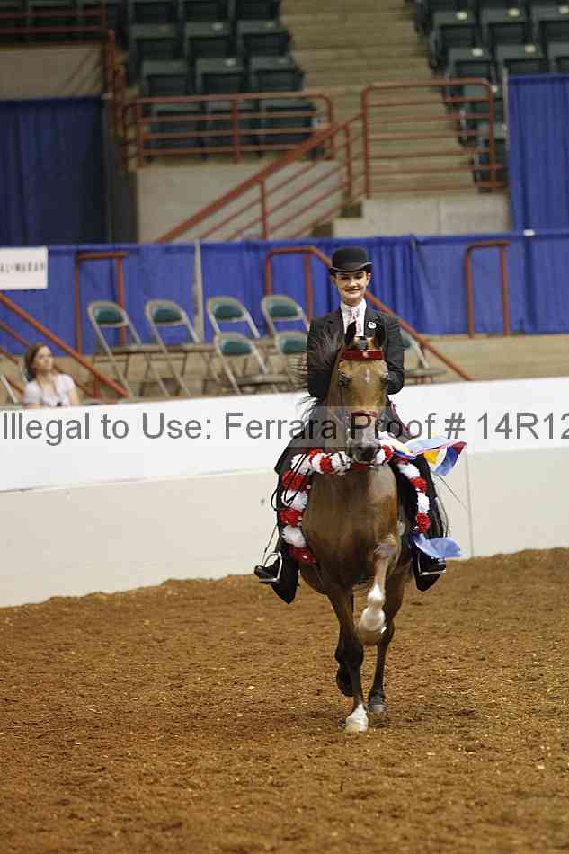 Proof Number 14r12_7721