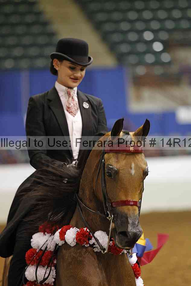 Proof Number 14r12_7723