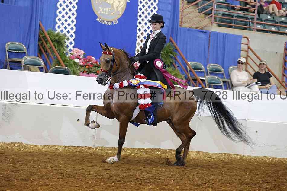 Proof Number 14r12_7728