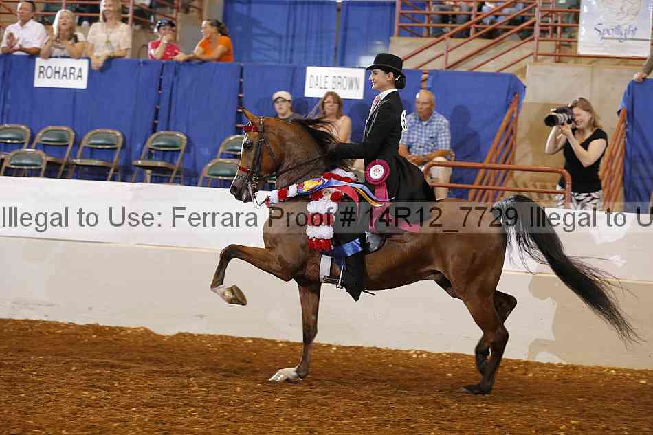Proof Number 14r12_7729