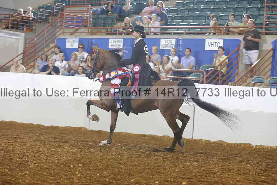 Proof Number 14r12_7733