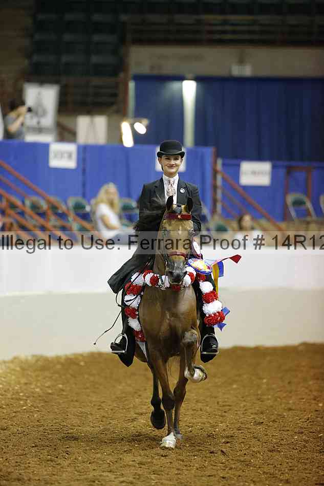 Proof Number 14r12_7734