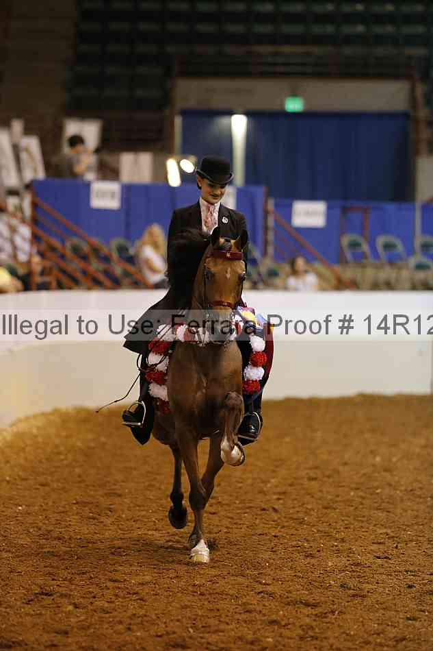 Proof Number 14r12_7735