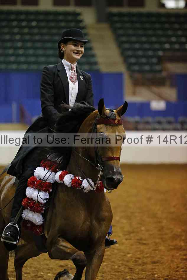 Proof Number 14r12_7736