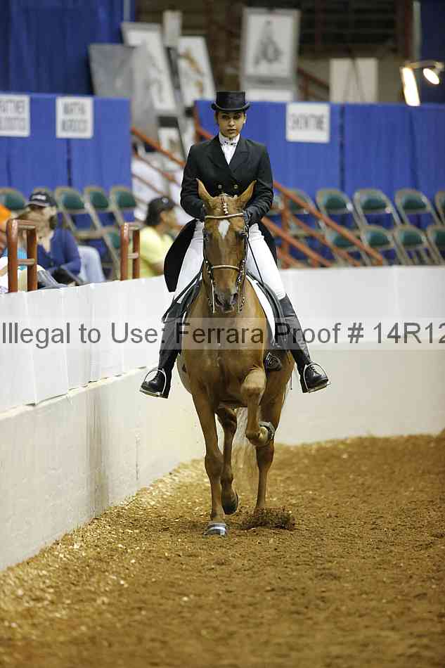 Proof Number 14r12_7745