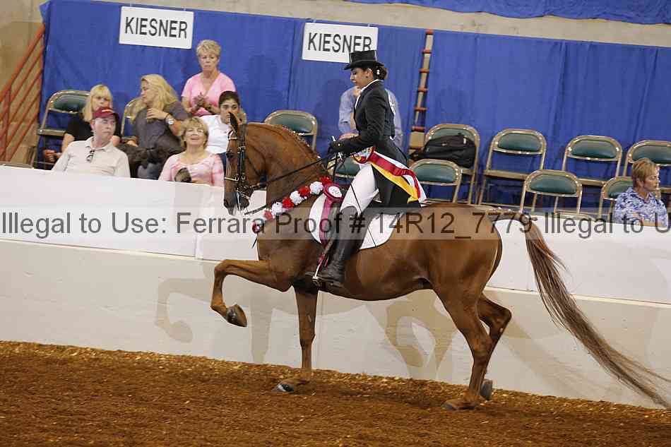Proof Number 14r12_7779