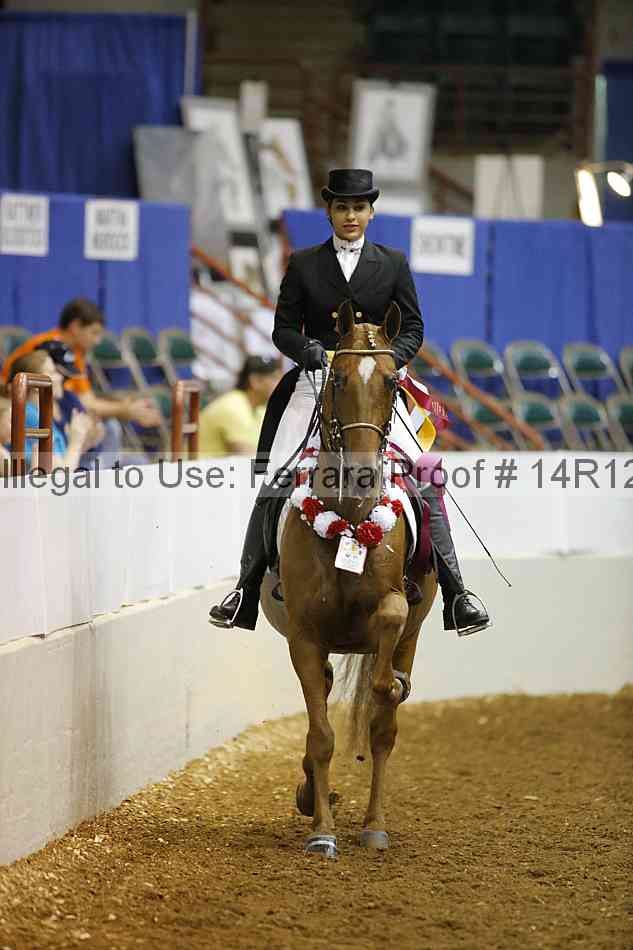 Proof Number 14r12_7784