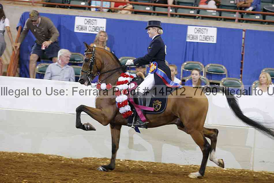 Proof Number 14r12_7790