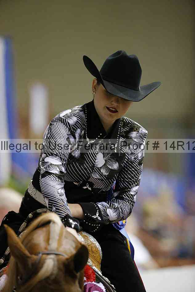 Proof Number 14r12_7813