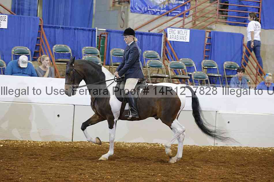 Proof Number 14r12_7828