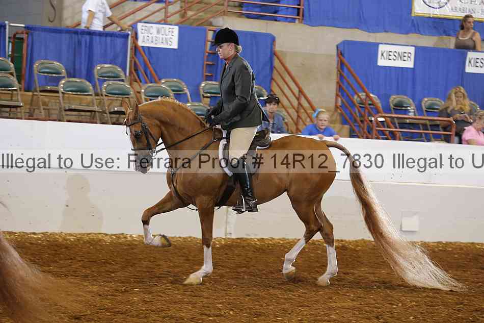 Proof Number 14r12_7830